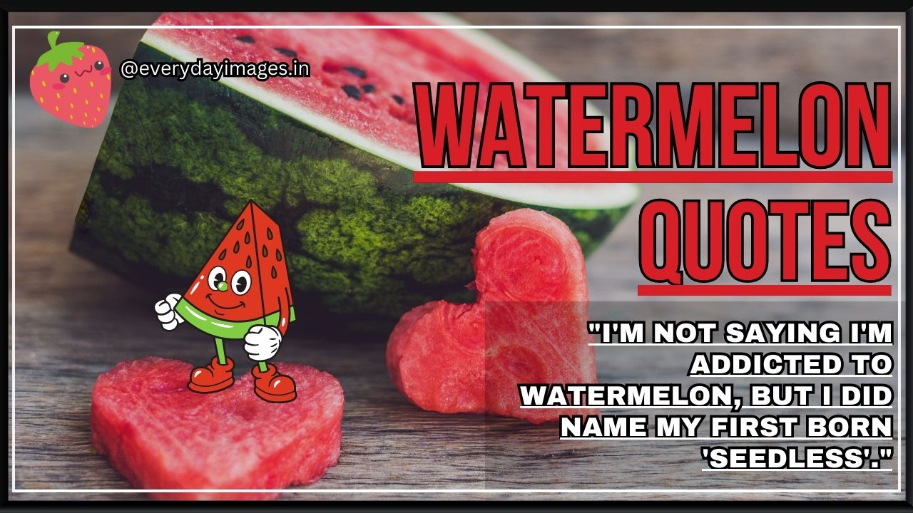 45+ Best Watermelon Quotes, Sayings, And Captions For Summers