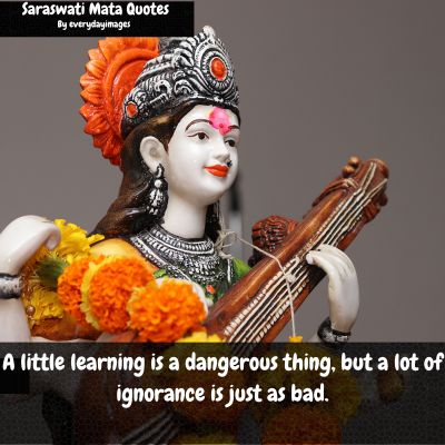 Motivational Maa Saraswati Quotes