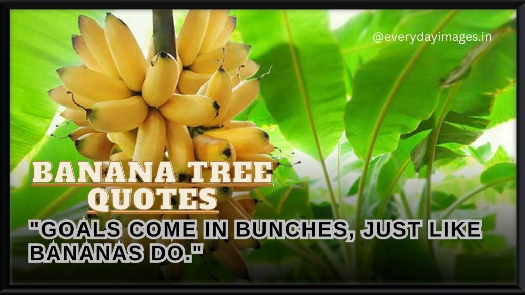 Banana Tree quotes