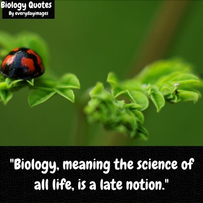 Marine Biology Quotes