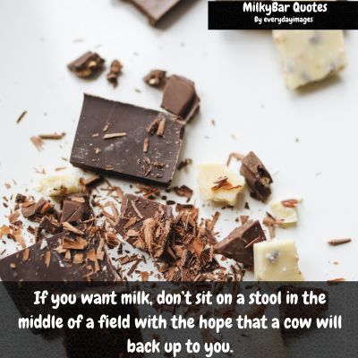 Milky Bar Sayings