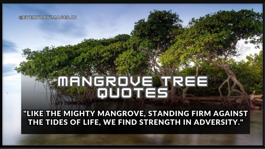 Mangrove tree quotes