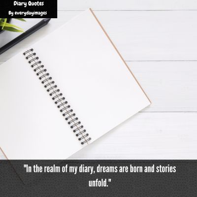 Diary Captions