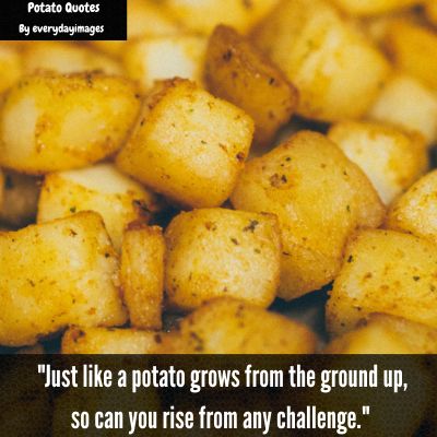 Inspirational Potato Quotes