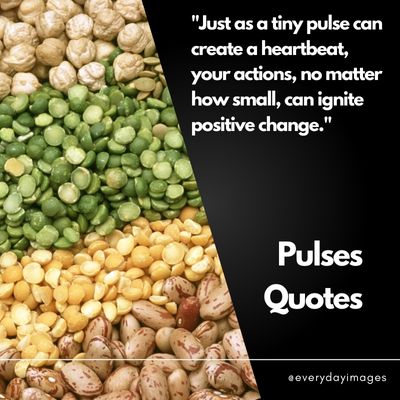 Inspirational Pulses Quotes