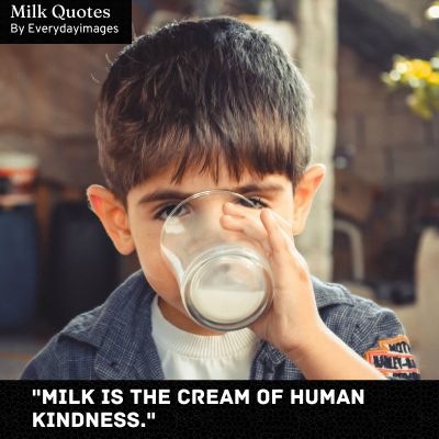 Milk Quotes