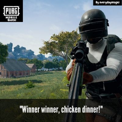 PUBG Quotes