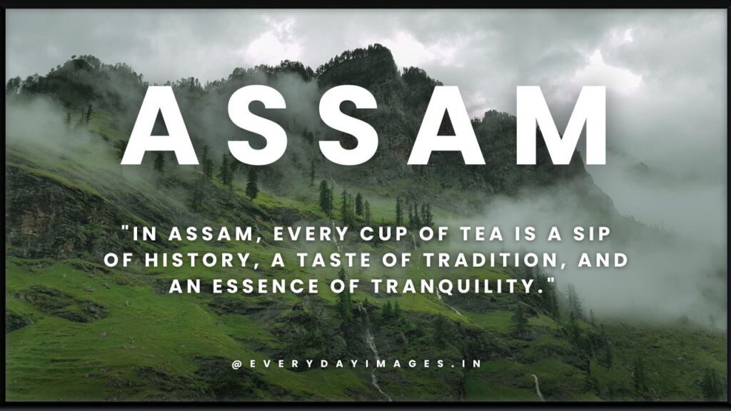 Assam Quotes