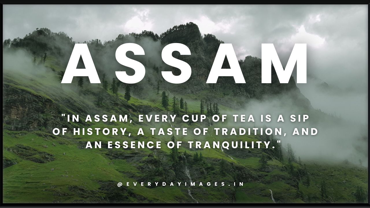 assam tourism quotes