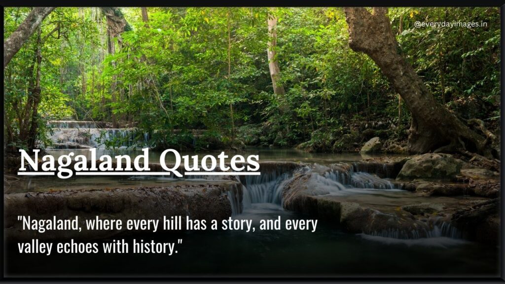 Nagaland Quotes