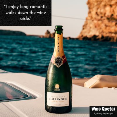 Funny Wine Quotes