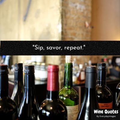 Short Wine Quotes