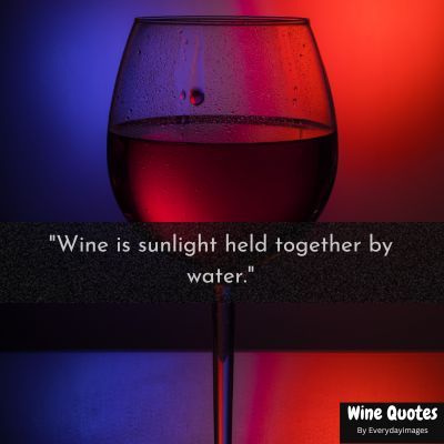 Inspirational Wine Quotes